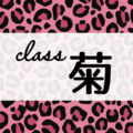 ピンクのヒョウ柄のクールでかっこいいイラスト「class菊」のロゴあり